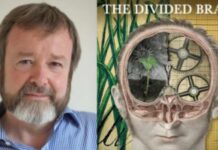 Neuroscientist Argues the Left Side of Our Brains Have Taken Over Our Minds
