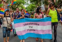 Study Examines Healing from Family Rejection as Trans and Nonbinary Latinx Persons