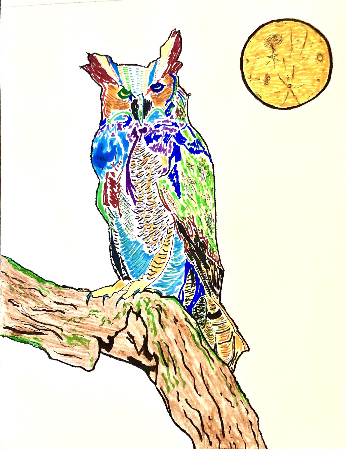 A colorful illustration of an owl on branch under a yellow moon