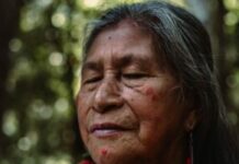 Our Millions Year-Old Embodied Wisdom: Kinship and the Indigenous Worldview