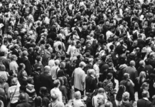 Systemic Insanity