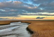 Post-Acute Withdrawal Syndrome (PAWS): How the Last Step to Recovery Became the Final Step in Life
