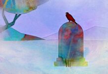 Grief, Bereavement, Public Health, and Me