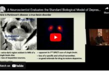 A Neuroscientist Evaluates the Standard Biological Model of Depression