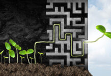 Reframing Mental and Emotional Pain from a Buddhist Psychology Perspective Illustration of a plant growing through a maze of darkness to emerge into sunlight