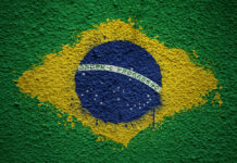 Leading Brazilian Psychiatrists Call for Holistic Mental Health Practices