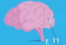 Why Your Brain Needs Other People