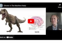 Ghosts in the Machine: The Fantasies of Psychopharmacology | David Healy