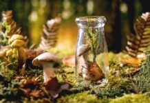 Can the Psychedelic Humanities Resist the Medicalization Craze?