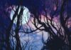 Moonlight Mystery by Jason Aull