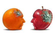 Is Mental Health a Choice—and Can Understanding Help Us Heal? An orange and an apple with faces facing toward each other. Each have mold growing in different areas.
