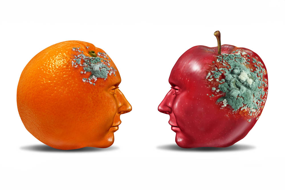 An orange and an apple with faces facing toward each other. Each have mold growing in different areas.