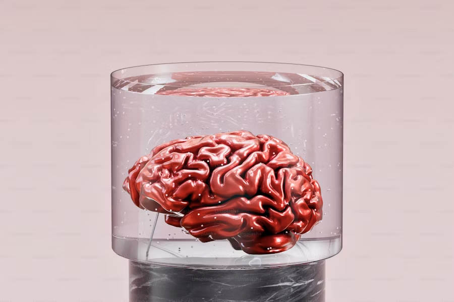 A brain in a jar
