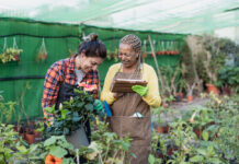 A Place to Grow: The Promise and Challenges of Recovery-Oriented Therapeutic Farms