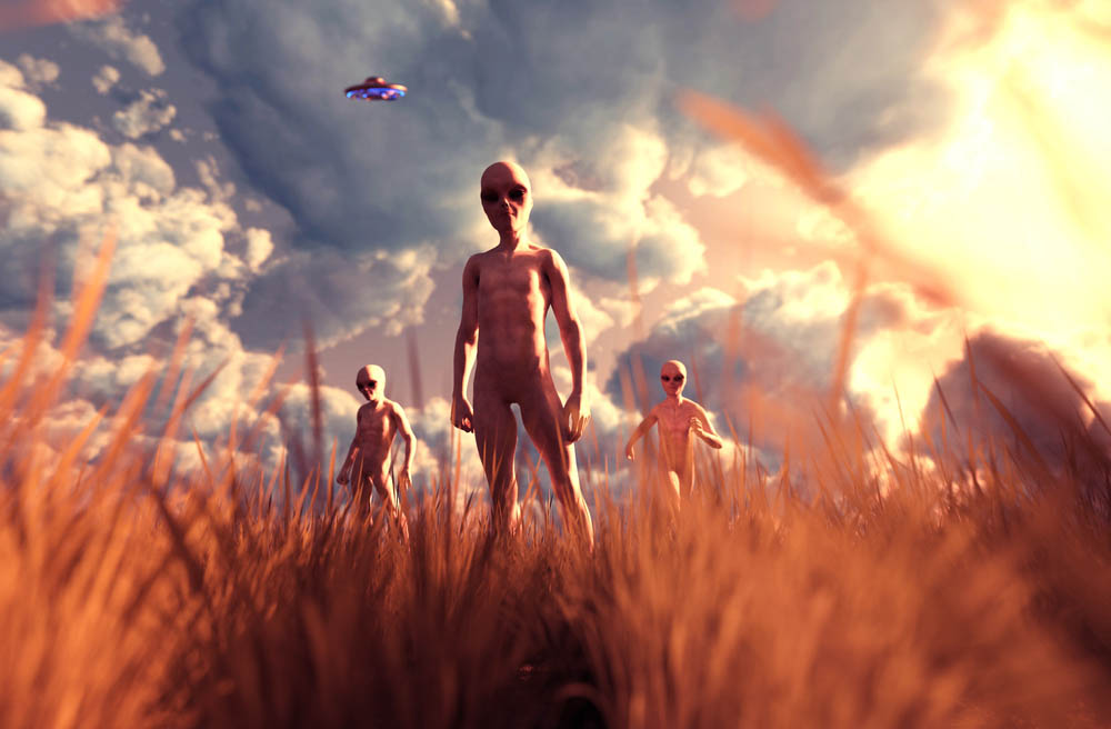 Aliens in a cornfield