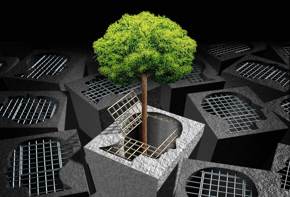 3D illustration of a green tree emerging from an unlocked prison-cell like door shaped like a head