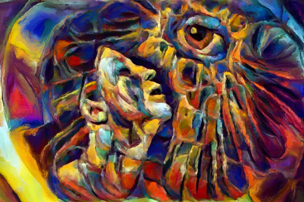 Abstract design made of thick canvas paint relevant for human connections with the world's colors and textures