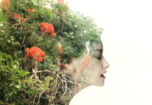 What Happens When We Treat Nature as Essential to Mental Health