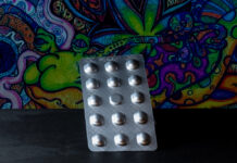 From Healing to Commodity: The Global North’s Approach to Psychedelic Therapy