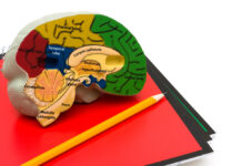How Psychology Is Used to Justify Inequality in Schools
