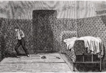 Delusion or Design? Rethinking the Logic of Madness