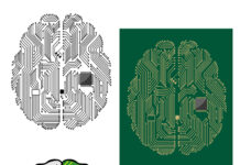 The Brain Isn’t a Computer: Why That Matters for Mental Health