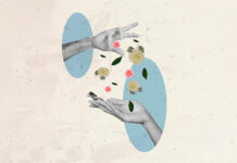 The Cat Is Out of the Bag Creative abstract template collage of hands throw flowers aster blooming freak bizarre unusual fantasy billboard.