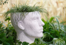 How an Ecological View of Mind Could Rewrite Psychology and Psychiatry