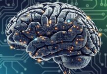 Labeled, Medicated, Misdiagnosed — Until I Rewired My Own Brain