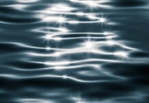 Shadow and Light by Dana Henry Martin