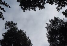 Trust Me I’m a Lunatic by Mr Wildlife