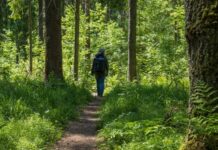 The Healing Powers of Nature