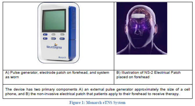 The Monarch eTNS device from the FDA clearance document
