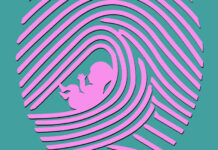 Prenatal Origins of Love and Shame