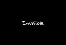Invisible by Jasmine Marshall