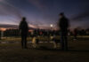 What We Seek in Therapy May be Lost to Time Blurry photo of people and dogs at dog park