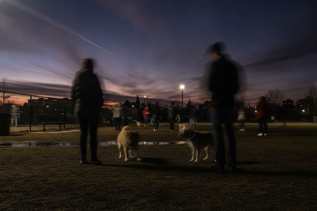 Blurry photo of people and dogs at dog park